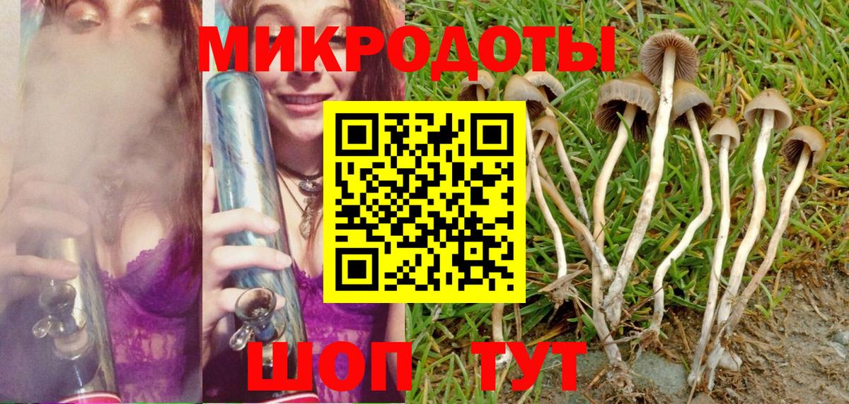 Псилоцибиновые грибы ЛСД Протвино