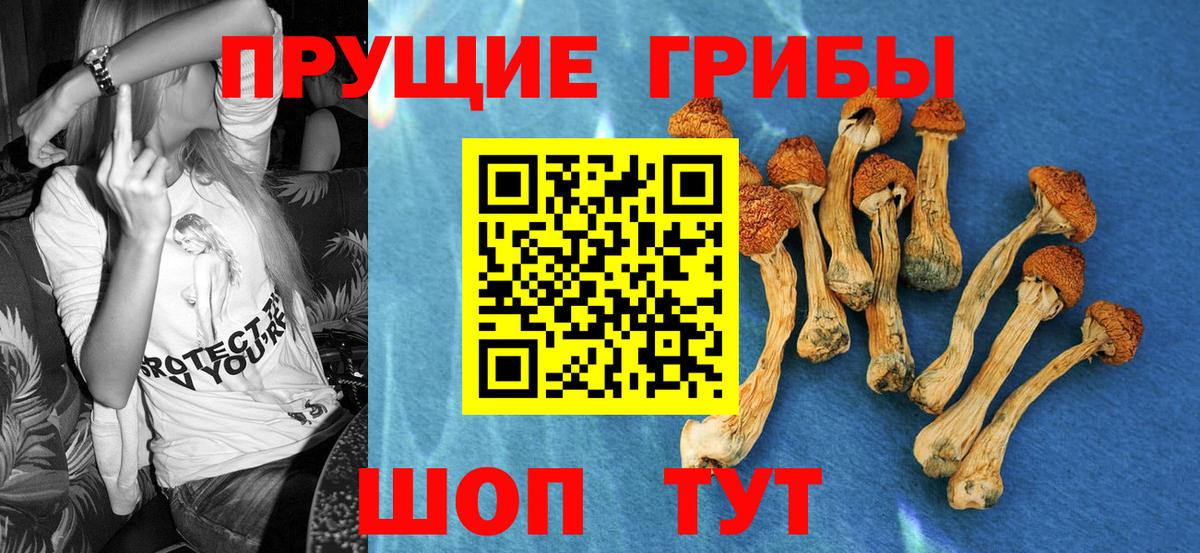 Протвино  Псилоцибиновые грибы мицелий  купить наркотики цена  Вход с VPN  Галлюциногенные грибы мицелий 